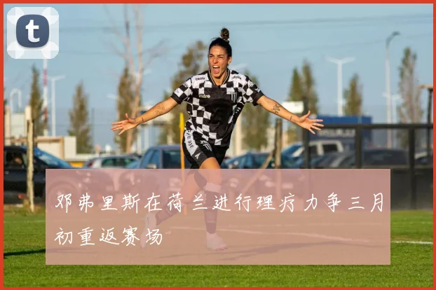 邓弗里斯在荷兰进行理疗力争三月初重返赛场