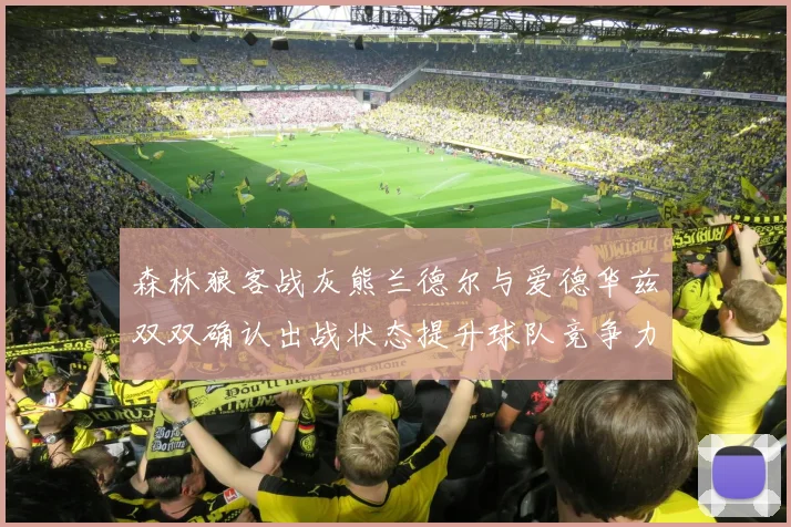 森林狼客战灰熊兰德尔与爱德华兹双双确认出战状态提升球队竞争力
