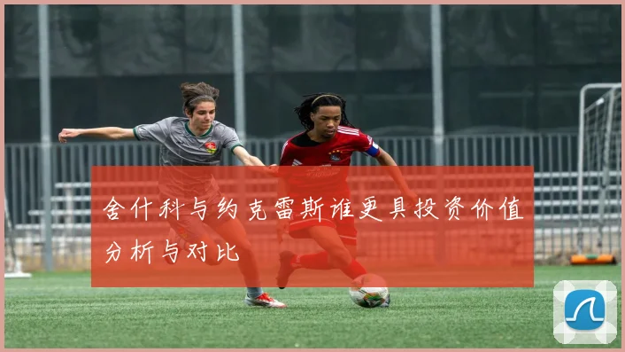 舍什科与约克雷斯谁更具投资价值分析与对比