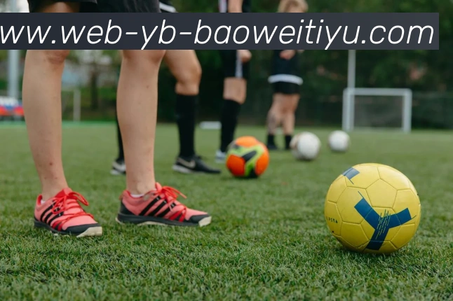 宝威体育服务体系