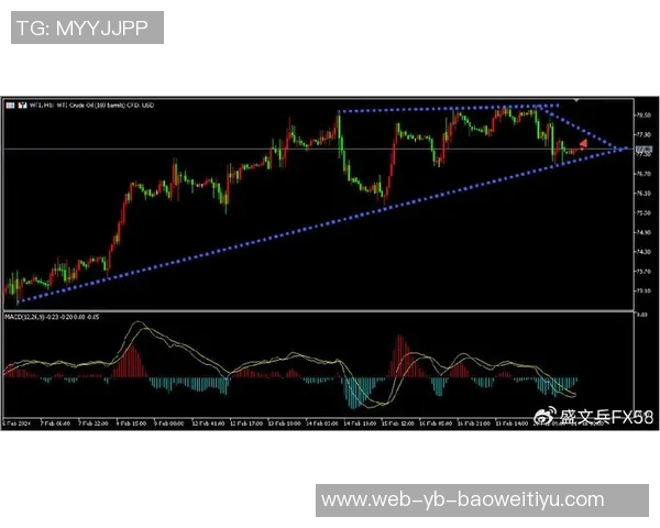 小鬼克尼佩尔次节狂砍14分4板助队追分半场数据亮眼表现引关注